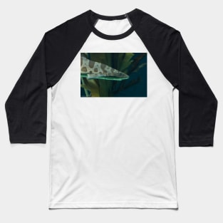 Leopard Shark Baseball T-Shirt